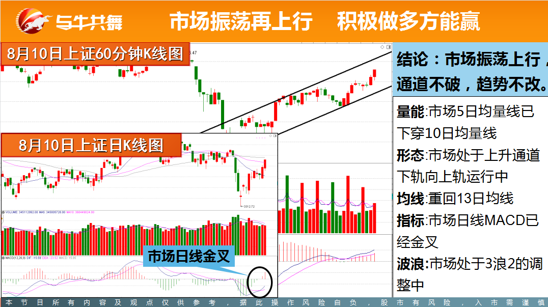 陈建平看大势_陈建平简历_与牛共舞股票投资网